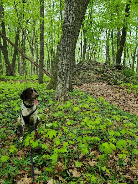 Blue Mound Campground Picture 5