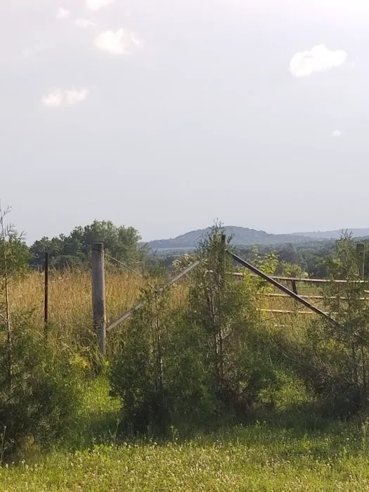 Linden Campground Picture 7