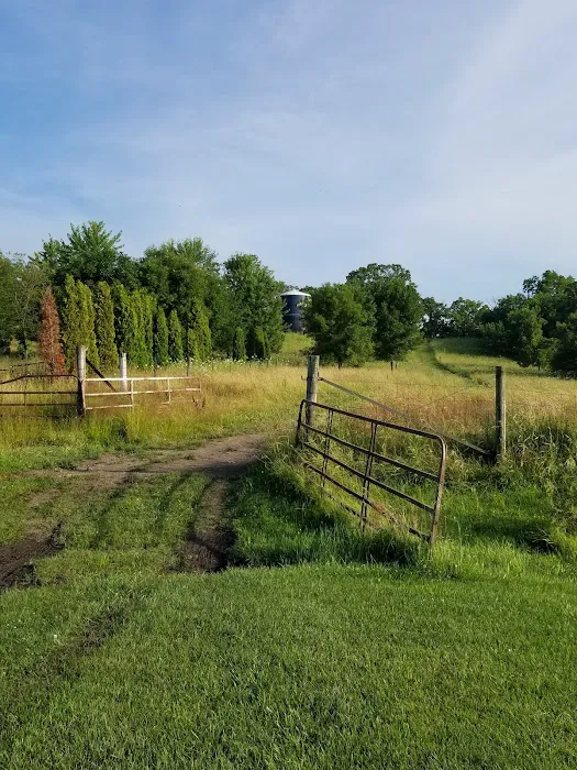 Linden Campground Picture 8