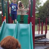 Apple Canyon Lake Campground ico