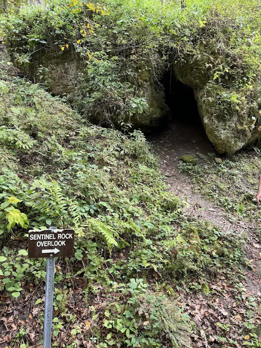 Mississippi Palisades State Park Campground Picture 9