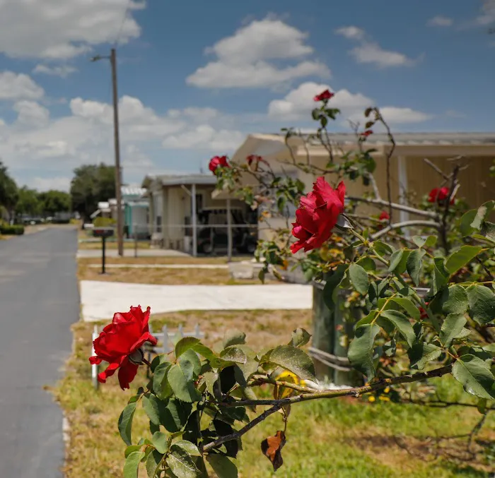 Lake Blue Mobile Home Community Picture 6