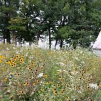 Willerup Bible Camp ico
