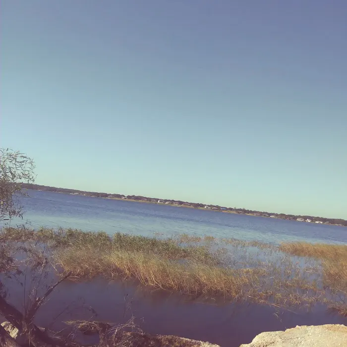 21 PALMS Travel Resort Picture 1