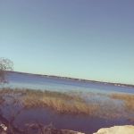 21 PALMS Travel Resort