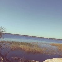21 PALMS Travel Resort ico