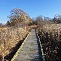 Sandhill Station Campground ico