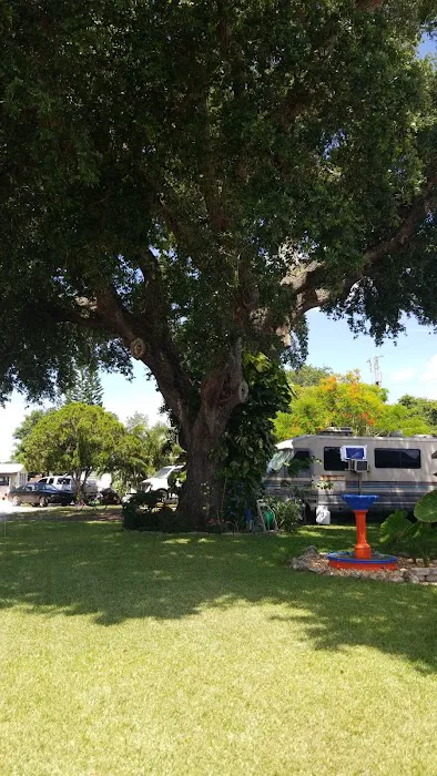 Big Oak Trailer Park Picture 4