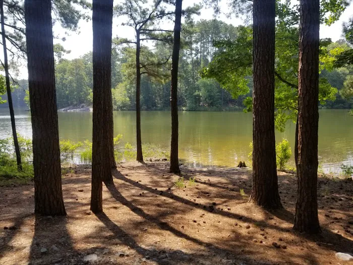 Payne Campground Picture 4