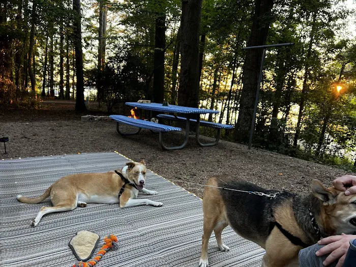 Victoria Campground at Lake Allatoona Picture 7