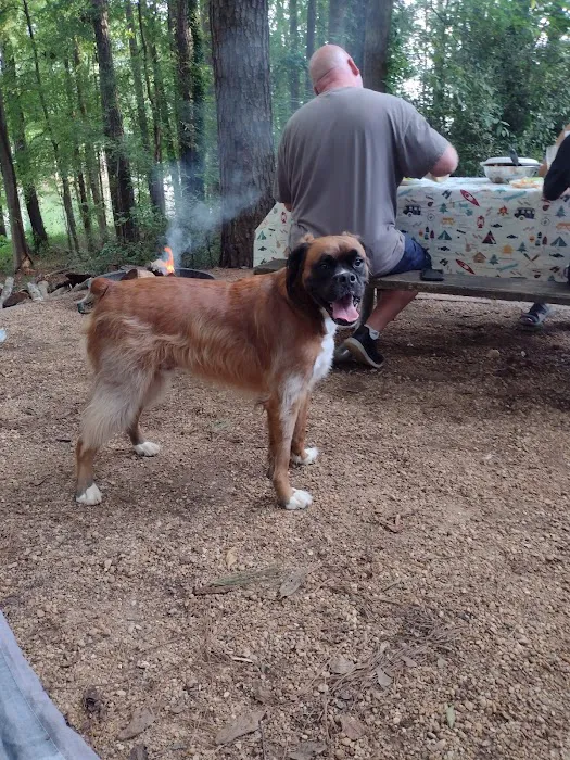 Victoria Campground at Lake Allatoona Picture 3