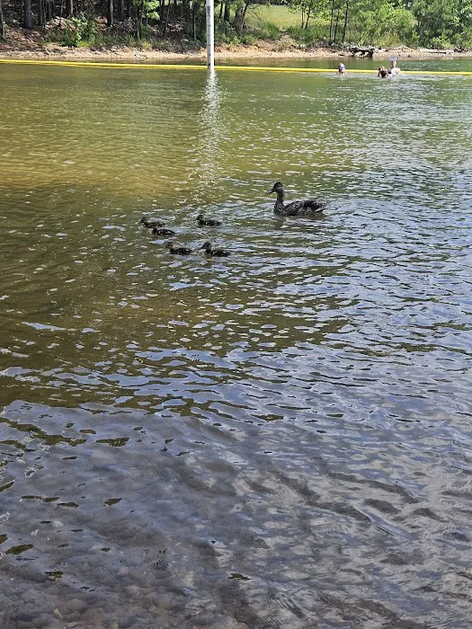 Victoria Campground at Lake Allatoona Picture 8
