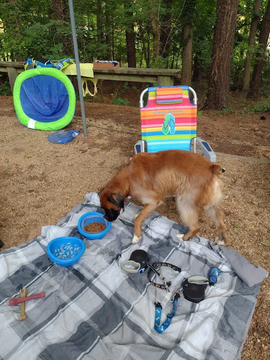 Victoria Campground at Lake Allatoona Picture 4