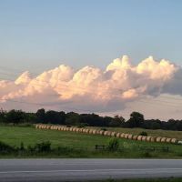 Highway 60 RV Park ico