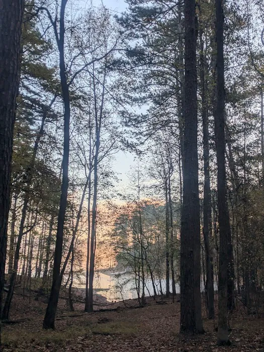Timberline Glamping Lake Allatoona Picture 9