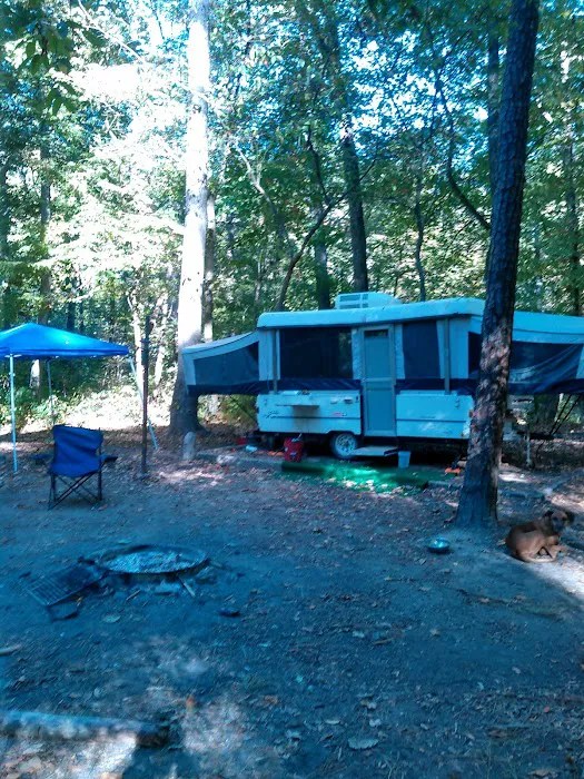 Pine Glen Campground Picture 1