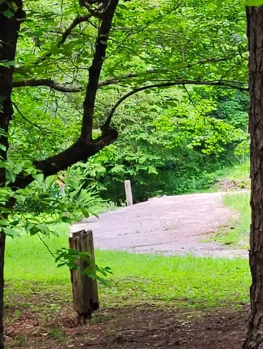 Pine Glen Campground Picture 2