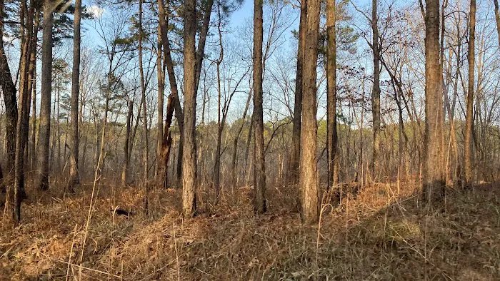 Pine Glen Campground Picture 5