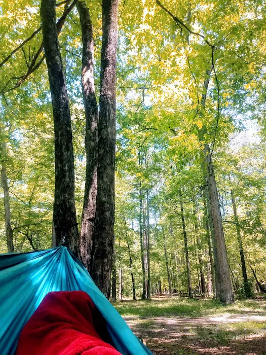 Pine Glen Campground Picture 10