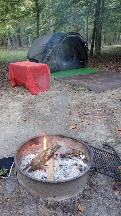 Pine Glen Campground Picture 3