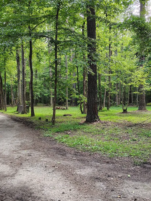 Pine Glen Campground Picture 9