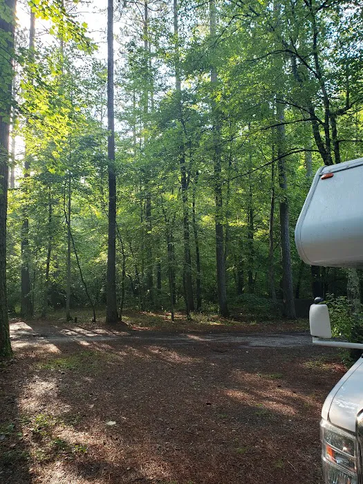 Pine Glen Campground Picture 7