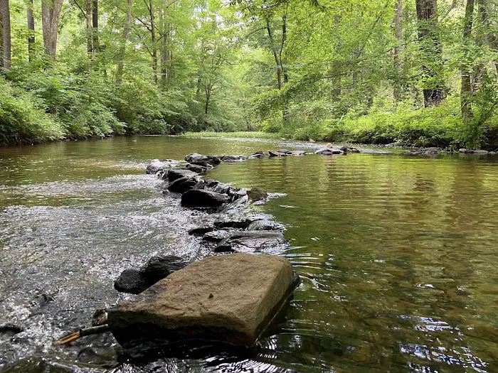 Pine Glen Campground Picture 6