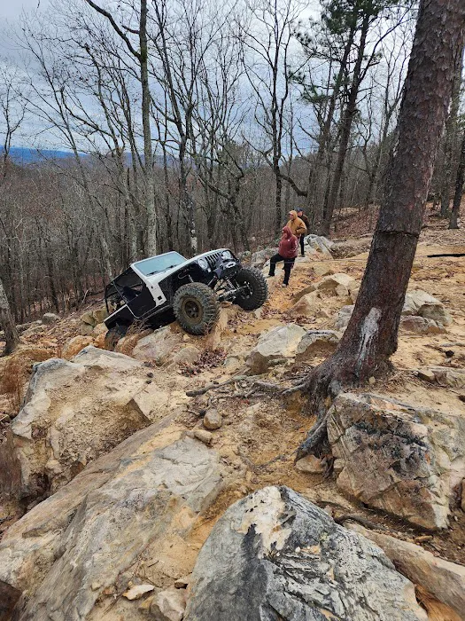 Choccolocco Mountain Picture 3