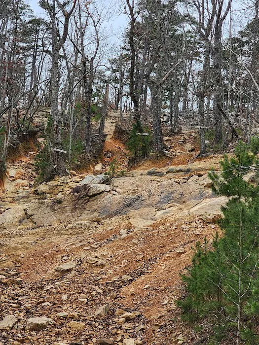 Choccolocco Mountain Picture 1