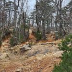 Choccolocco Mountain