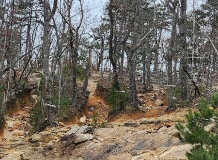Choccolocco Mountain