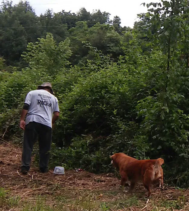 Cane Creek RV Park Picture 4