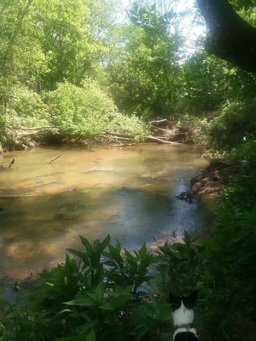 Cane Creek RV Park Picture 3