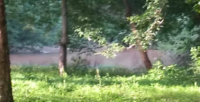 Cane Creek RV Park Picture 5