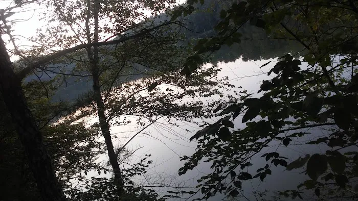 Upper Stamp Creek Campground Picture 4