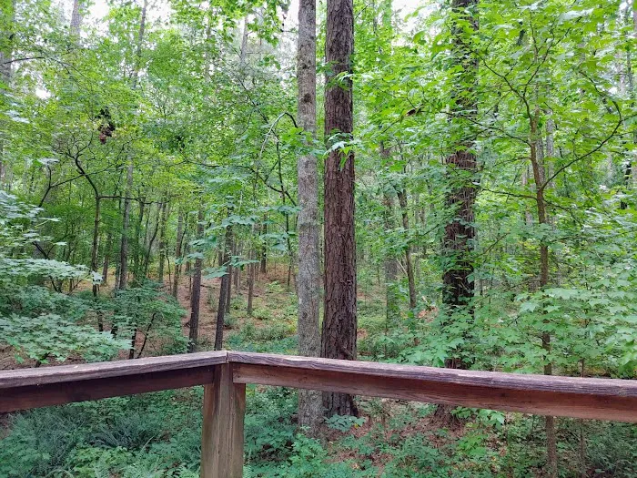 Upper Stamp Creek Campground Picture 6