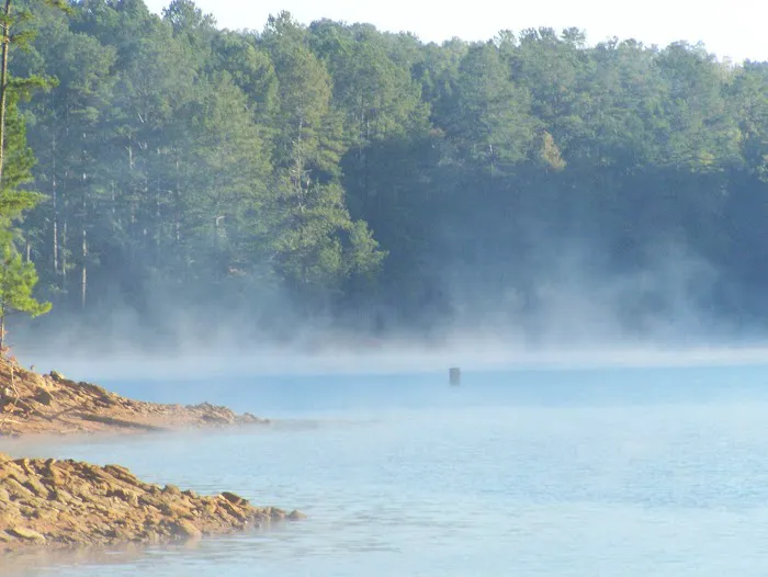 Upper Stamp Creek Campground Picture 3