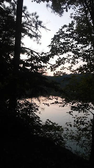 Upper Stamp Creek Campground Picture 1