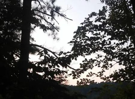 Upper Stamp Creek Campground
