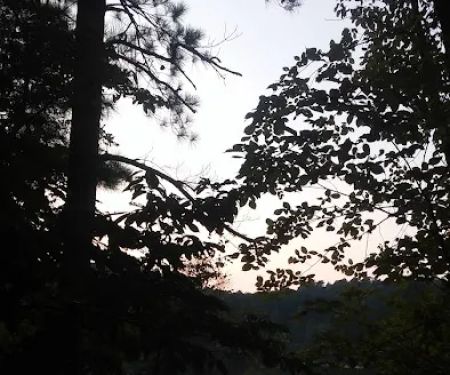 Upper Stamp Creek Campground