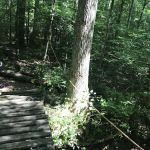 Camp Sequoyah: Frank Spain Scout Reservation