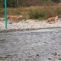 Indian Summer RV Park and Campground ico