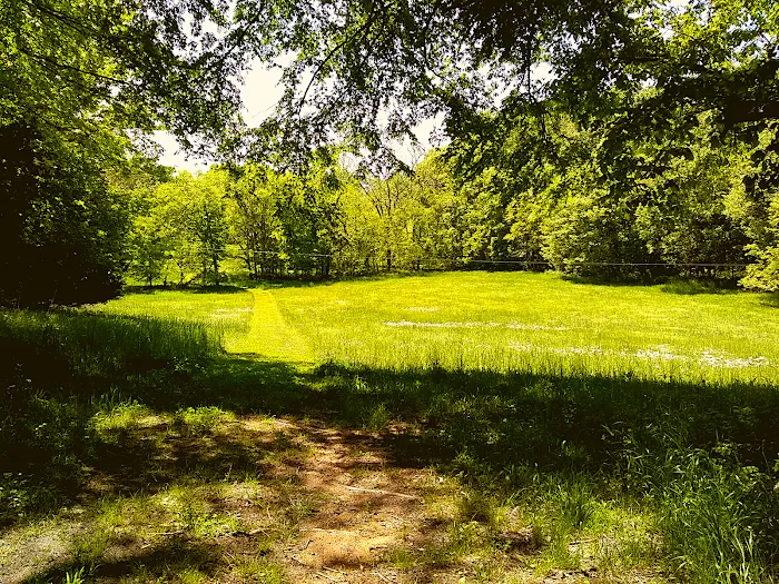 Plentiful Hill Farm Picture 4