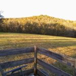 Plentiful Hill Farm