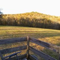 Plentiful Hill Farm ico