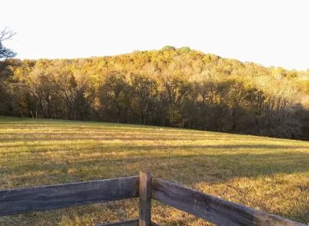 Plentiful Hill Farm