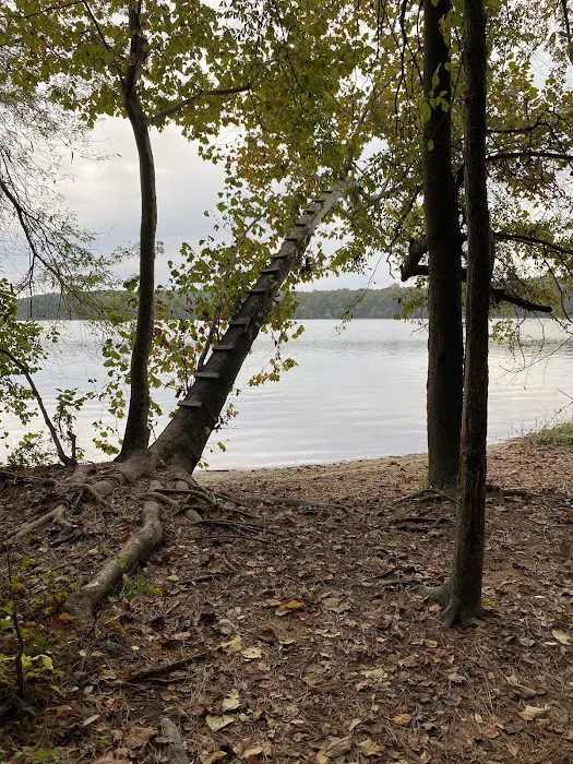 Point Mallard Campground Picture 5