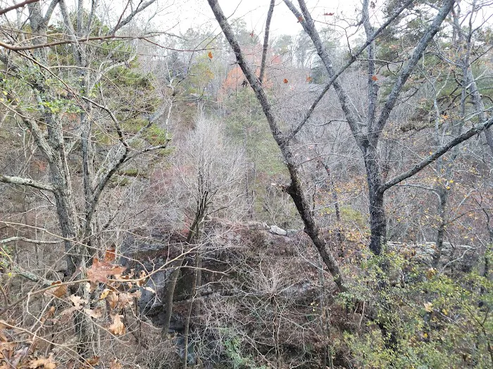 Noccalula Falls Campground Picture 4