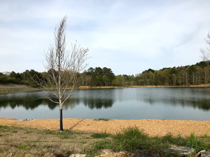 The Cove Rv Resort and Campground Picture 4