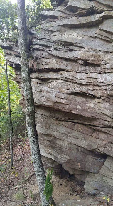 Bluff Creek Falls Picture 4